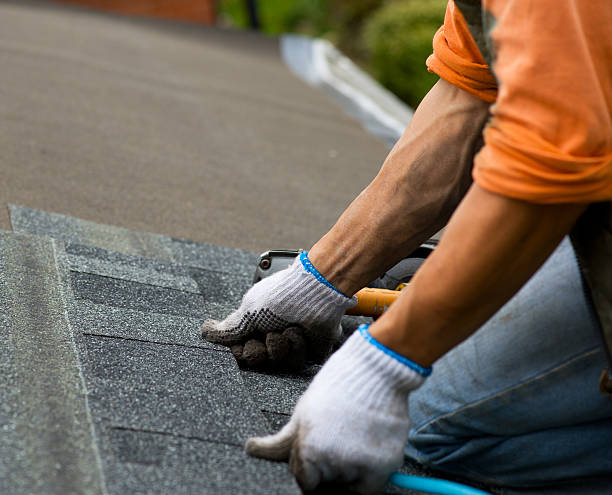 Best Storm Damage Roof Repair  in East Berwick, PA